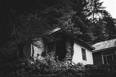 Abandoned House Pixahive