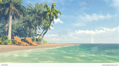 Beautiful Tropical Scenery Clear Ocean And Sandy Beach