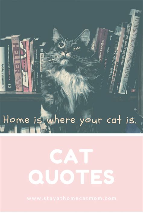 Cat Quotes A Visual Gallery Of Cat Quotes Stay At Home Cat Mom Cat