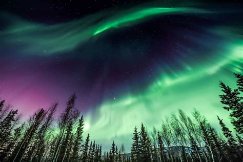 Stunning Photos Of The Northern Lights New York Daily News