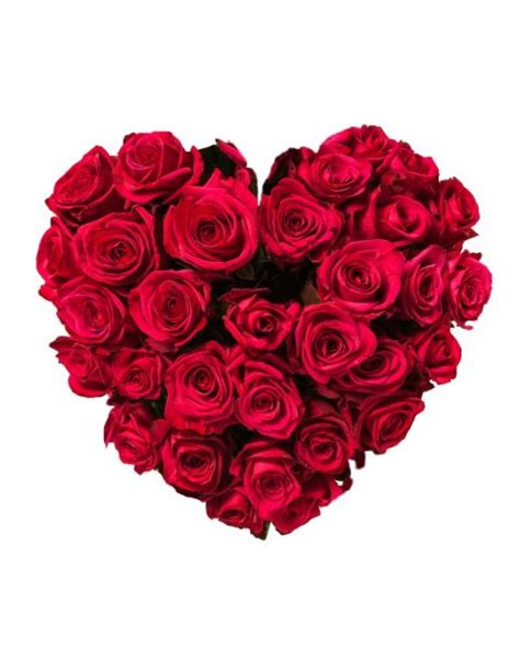 Pizza, calzones, seafood and steak. Corazón de Rosas, Bediflor envía tus corazones de rosas de ...