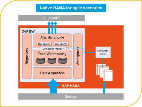 Strategic Decisions Making Through SAP BW And HANA PIKON