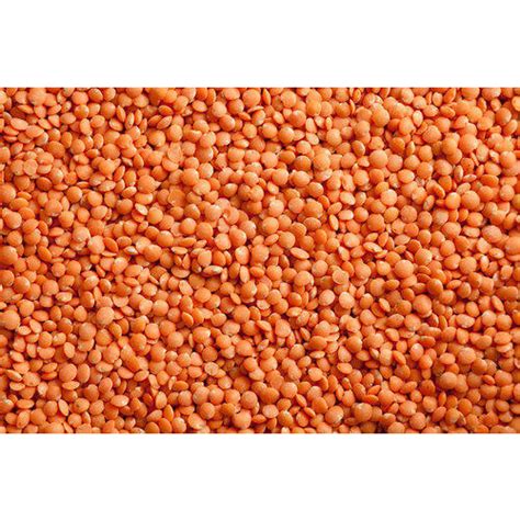 Whole Masoor Dal High In Protein Packaging Size 30kg 50 Kg At Rs 70