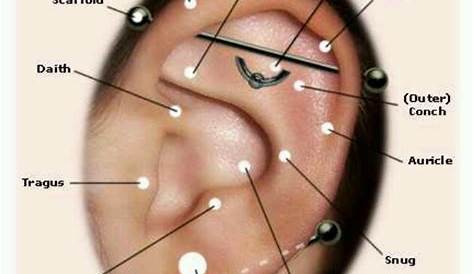 ear piercing chart for sensitive ears