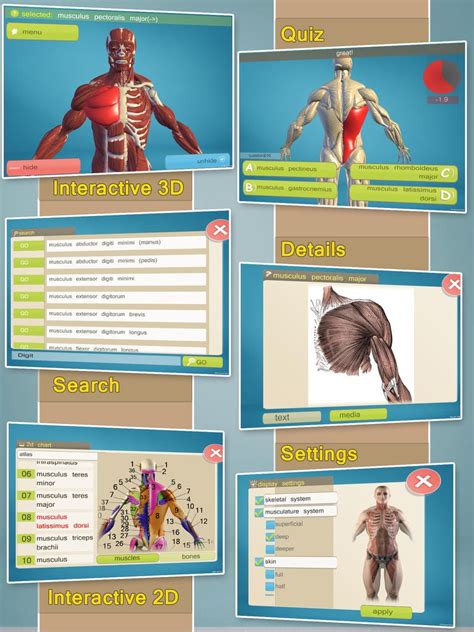 Easy Anatomy Free Apps For Android And Ios
