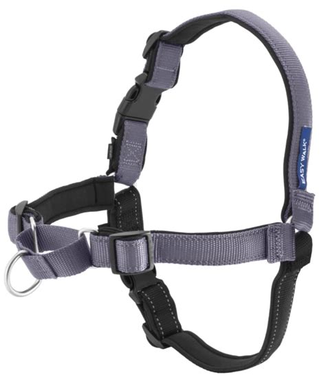Best Dog Harnesses 16 Best Dog Harnesses For Every Kind Of Dog