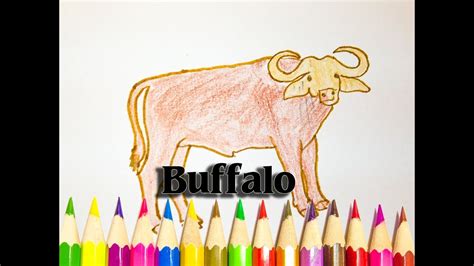 How To Draw A Buffalo We Drawing Animal Step By Step Sld Youtube