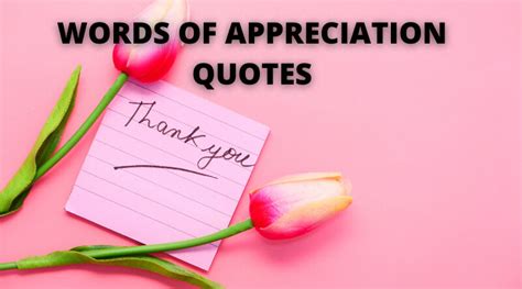 Appreciation Quotes 💖25 Quotes To Inspire Thoughtful Written Sentiments