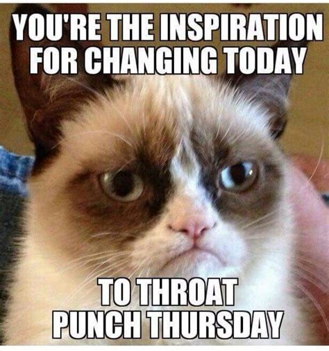 Throat Punch Thursday Funny Grumpy Cat Memes Funny Cartoons Jokes
