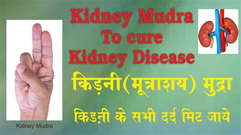 Kidneymutrashay Mudra To Cure Kidney Diseases By Jitendra Mistry In
