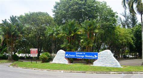 Pantai tanjung batu is a beautiful beach with recreational facilities within bintulu town of sarawak. Images of Bintulu Before and Now: From Tanjung Batu Beach ...