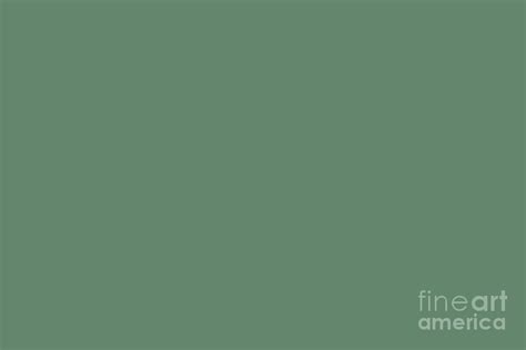 Dark Green Slate Solid Color Pairs To Sherwin Williams Jadite Sw 6459