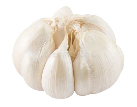 Raw Garlic Bulbs And Garlic Cloves On White Stock Image Image Of Cook