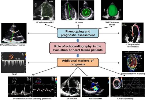 Advances In Echocardiographic Imaging In Heart Failure With Reduced And