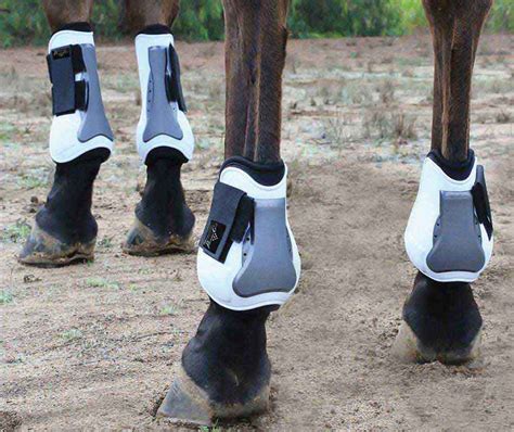 Pro Performance Show Horse Jump Boots Professionals Choice Support