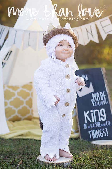Lucas Where The Wild Things Are Inspired 1st Birthday Shoot