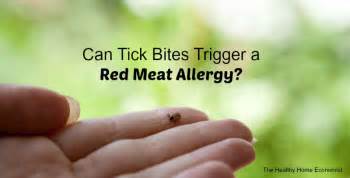 Can Tick Bites Trigger Allergies To Red Meat Healthy Home Economist