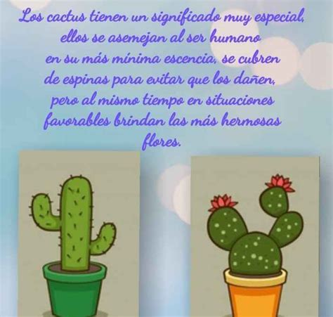 Significado De Regalar Cactus Y Suculentas Cactus Y Suculentas