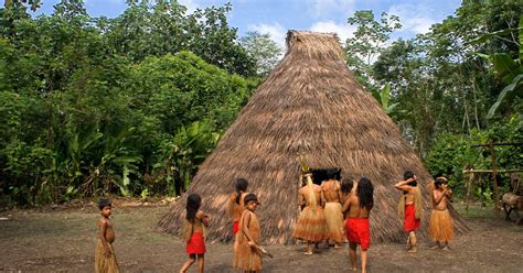 Los pueblos de la Amazonía cada vez más solos para defenderse
