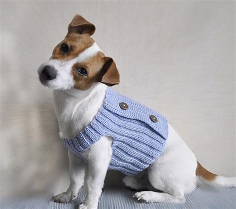 Blue Dream Dog Jumper Knitting Pattern By Themailodesign Lovecrafts