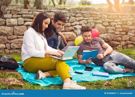 3 молодые люди на пикнике сидя на одеяле под оливкой Стоковое Изображение изображение