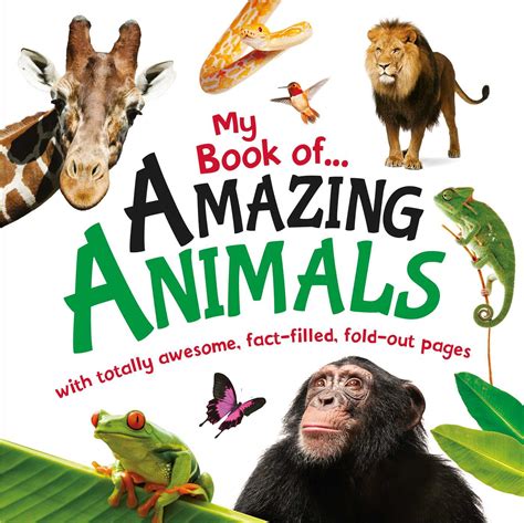 My Book Of Amazing Animals Book By Igloobooks Official Publisher