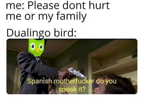 32 Hilarious Duolingo Memes That Reveal Just How Evil The Little Owl Is