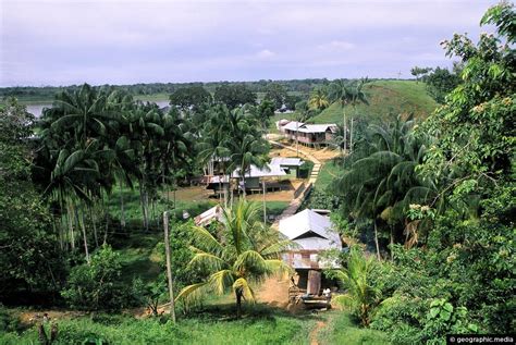 Puerto Narino Settlement In The Amazonas Geographic Media