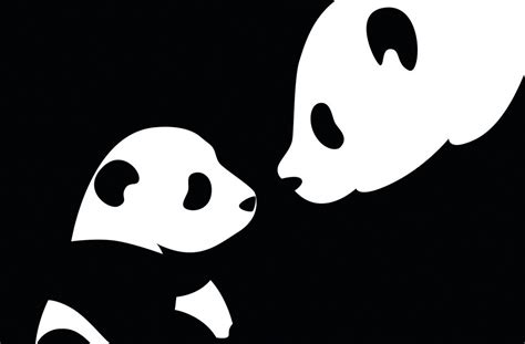2560x1600 Panda Color Face Black And White Wallpaper Coolwallpapersme
