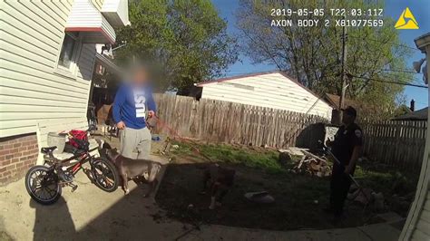 I Team Video Shows Investigators Breaking Up Suspected Dog Fighting In