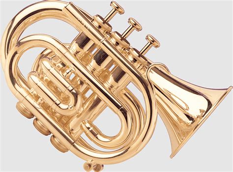 Dizi Western Concert Flute Tenor Horn Flugelhorn Euphonium Saxhorn
