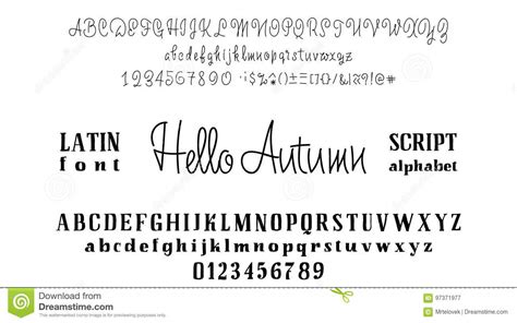 Vector Alphabet Calligraphic Font Unique Custom Characters Hand