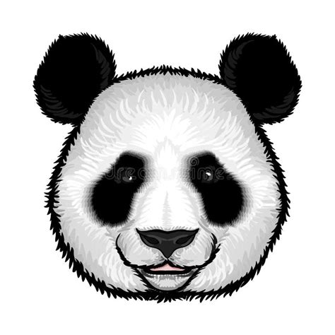 Cute Fluffy Panda Face Stock Vector Illustration Of Beast 213280654