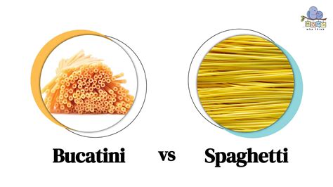 Bucatini Vs Spaghetti How Are They Different And When To Use Each