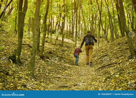 Father And Son Walking In The Autumn Forest Back View Stock Image