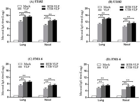 Viruses | Free Full-Text | Intranasal Immunization with Influenza Virus