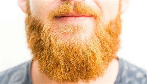 This color will not show on darker beard. 7 Best Beard Dyes - For Safe and Quality Results - Mar ...