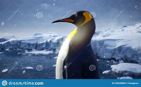 An Emperor Penguin Stands In The Middle Of A Snowstorm On A Glacier And