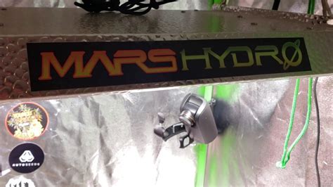 Update On My Mars Hydro Ts600 Youtube