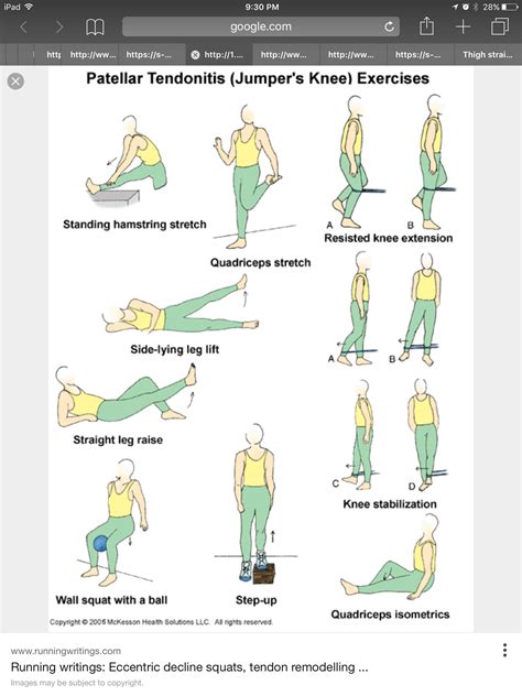 Gym Exercises For Patellar Tendonitis Building Strength And Relieving