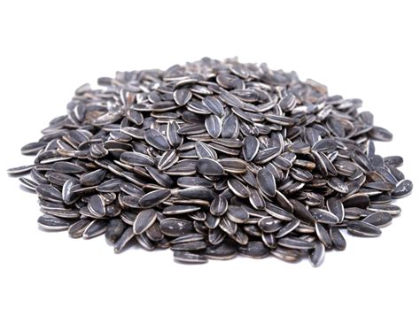 Sunflower Seeds Png Transparent Images Png All Vrogue Co