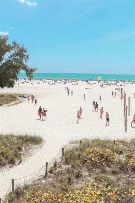 Sarasota Countys Beautiful Beaches Bring Lots Of Visitors To Our