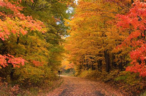 Nikon's 2016 Top Spot for Fall Foliage is Michigan, USA | Photoxels