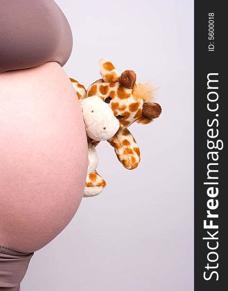 Camel Toy Watching Pregnant Belly Free Stock Images And Photos