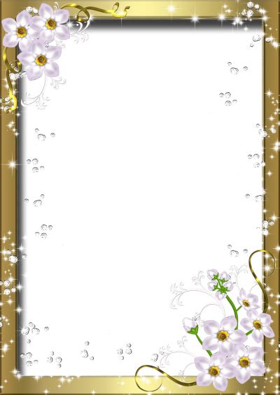 Picture Photo Frame Png Transparent Image Download Size 45 Off