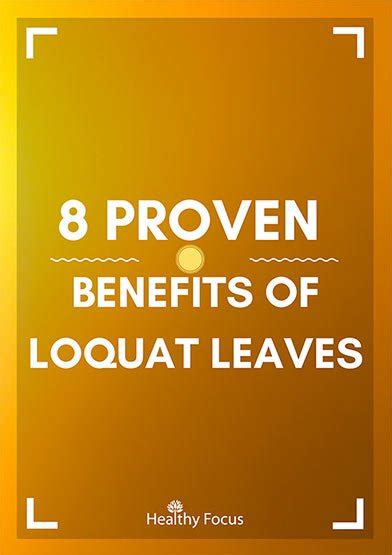 8 Proven Benefits Of Loquat Leaves Healthy Focus