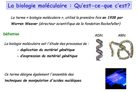 Introduction Biologie Moléculaire Cm1 La Biologie Moléculaire Est L