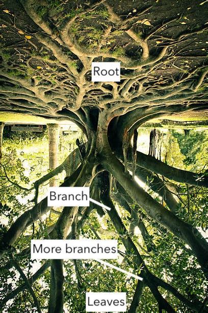 A Treehuggers Guide To Tree Traversal By Winshen Liu Medium