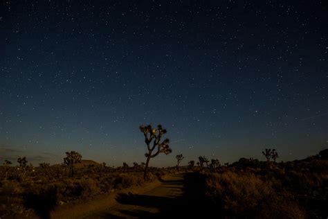 Desert Pictures At Night
