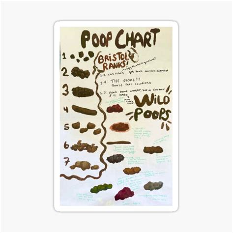 Poop Chart Ubicaciondepersonascdmxgobmx